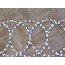 China Factory Hot Sale Galvanized Razor Wire (TS-L66)